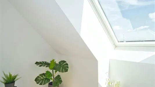 Apartments in Wien Simmering - photo 7