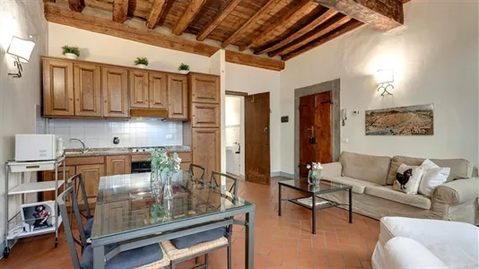Apartments in Florence - photo 4