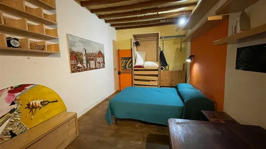 Apartments in Florence - photo 6