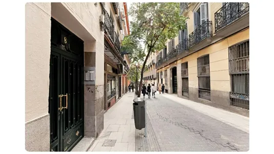Apartments in Madrid Centro - photo 8
