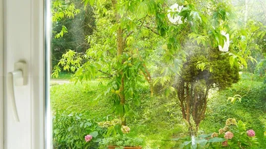 Apartments in Wien Wieden - photo 6