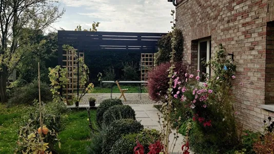 Rooms in Gerpinnes - photo 5