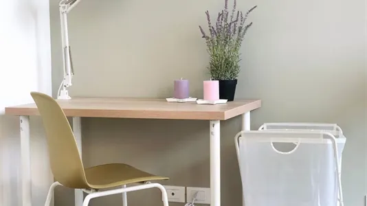 Rooms in Padua - photo 4