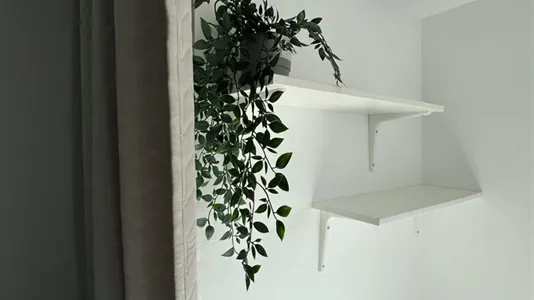 Rooms in Alicante/Alacant - photo 4