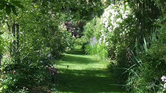 Rooms in Lyon - photo 7