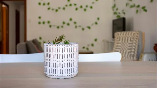 Rooms in Valencia Camins al Grau - photo 7