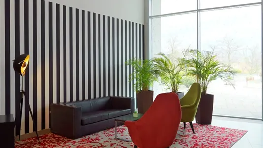 Apartments in Dresden - photo 7