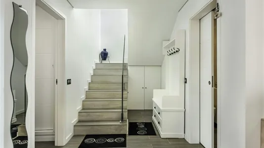 Houses in Tavira - photo 8