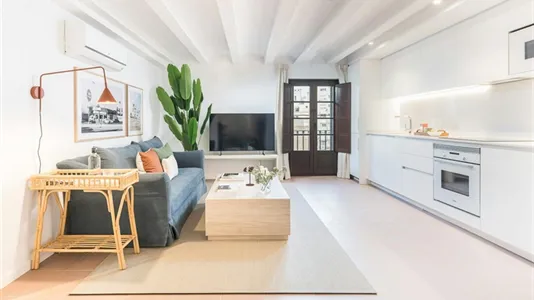 Apartments in Barcelona Ciutat Vella - photo 4