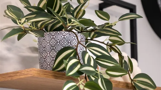 Apartments in Location is not specified - photo 10