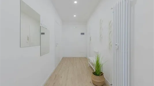 Rooms in Padua - photo 7