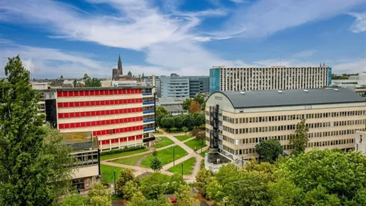 Rooms in Strasbourg - photo 6
