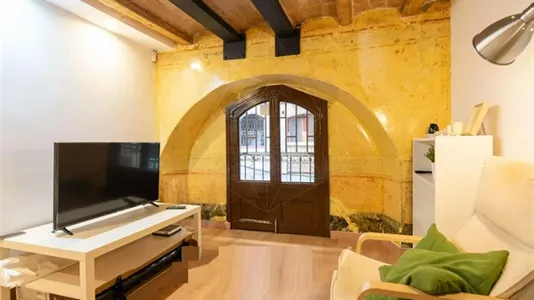 Apartments in Barcelona Ciutat Vella - photo 5