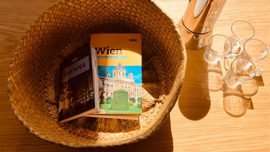 Apartments in Wien Penzing - photo 8