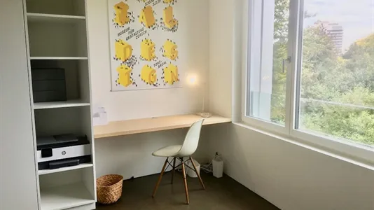 Apartments in Zürich Distrikt 6 - photo 10