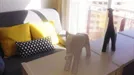 Apartment for rent, Murcia, Región de Murcia, &lt;span class=&quot;blurred street&quot; onclick=&quot;ProcessAdRequest(7746213)&quot;&gt;&lt;span class=&quot;hint&quot;&gt;See streetname&lt;/span&gt;[xxxxxxxxxxxxx]&lt;/span&gt;