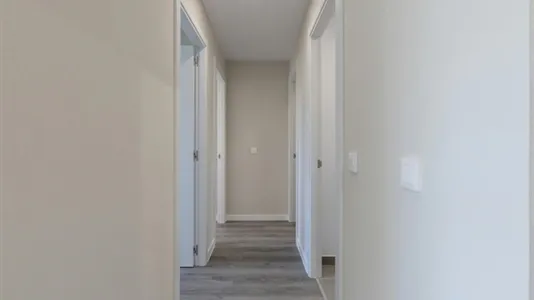 Apartments in Málaga - photo 9