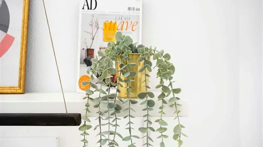 Rooms in Madrid Centro - photo 7