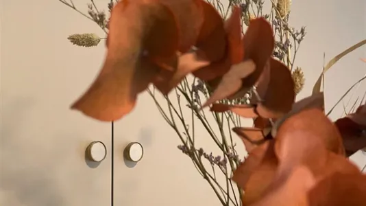 Apartments in Brussels Elsene - photo 5