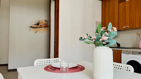 Rooms in Padua - photo 7