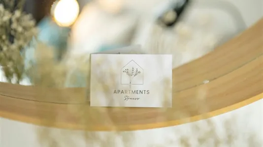 Apartments in Braunschweig - photo 4