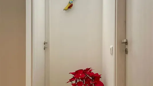 Rooms in Padua - photo 5