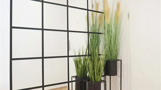 Rooms in Wien Rudolfsheim-Fünfhaus - photo 9