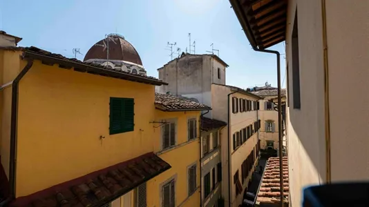Apartments in Florence - photo 9