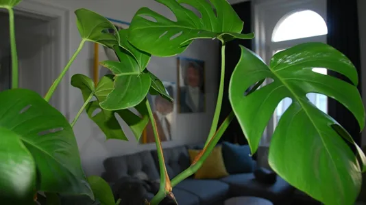 Apartments in Vienna Margareten - photo 7