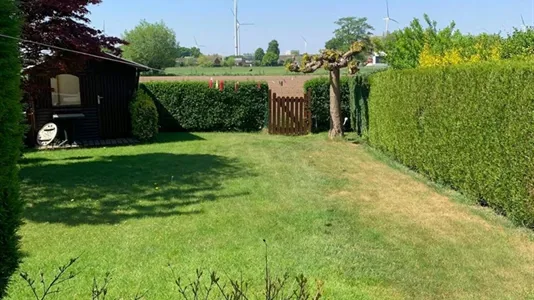 Houses in Wachtebeke - photo 4