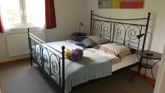 Apartments in Dresden - photo 4