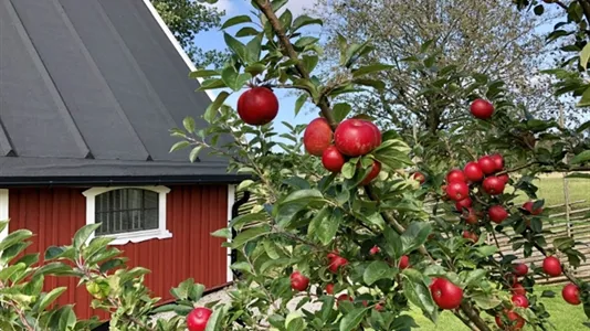 Houses in Båstad - photo 13