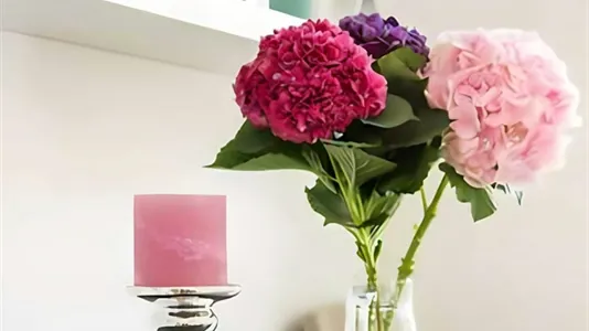 Apartments in Vienna Alsergrund - photo 9