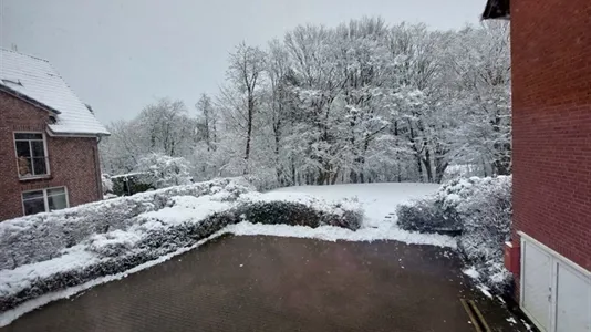 Rooms in Hamburg Wandsbek - photo 5