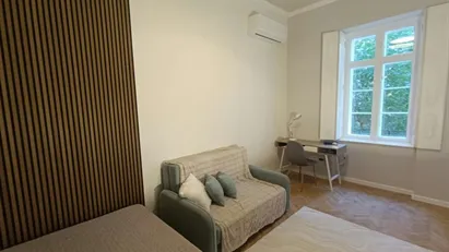 Apartment for rent in Budapest Józsefváros, Budapest