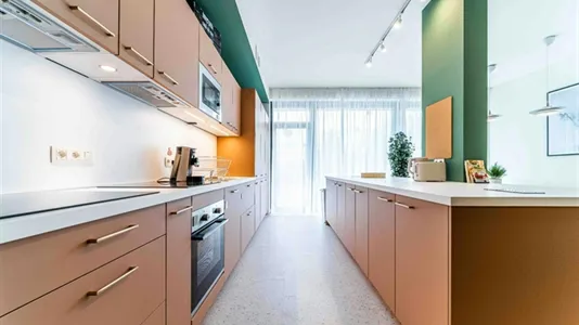 Rooms in Brussels Sint-Lambrechts-Woluwe - photo 3