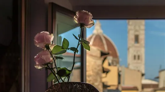 Apartments in Florence - photo 4