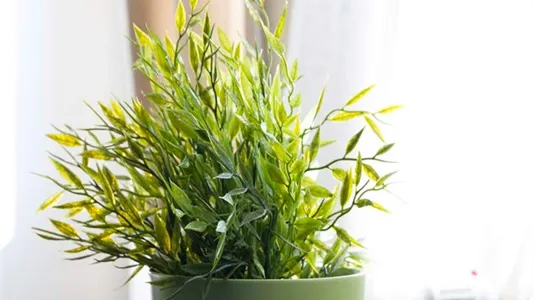 Rooms in Milano Zona 3 - Porta Venezia, Città Studi, Lambrate - photo 8