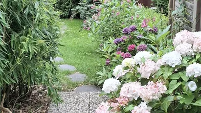 House for rent in Segeberg, Schleswig-Holstein