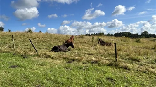 Houses in Kävlinge - photo 14