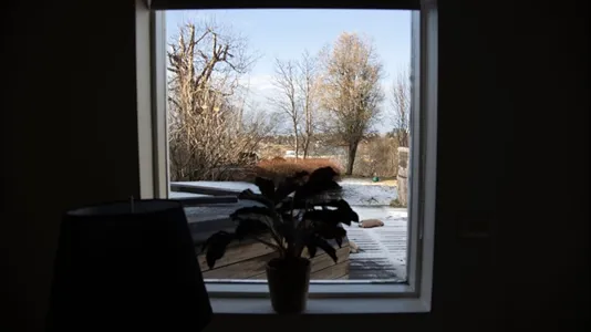 Rooms in Reykjavík Árbær - photo 7