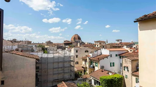 Apartments in Florence - photo 7