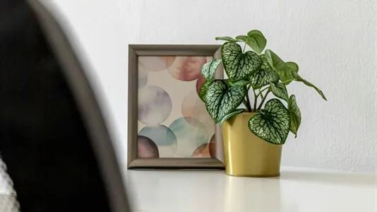 Rooms in Budapest Józsefváros - photo 10