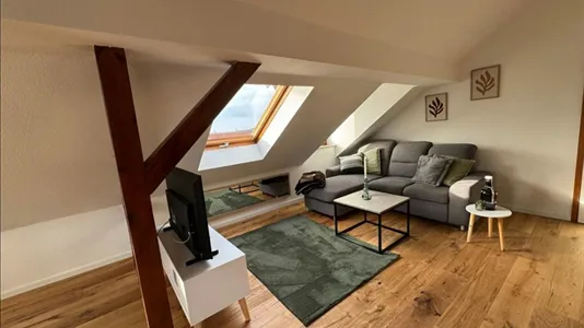 Apartments in Leipzig - photo 2