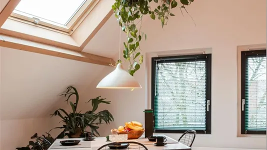 Apartments in Rotterdam Delfshaven - photo 3