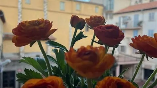 Apartments in Nice - photo 6