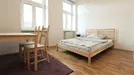 Apartment for rent, Wien Neubau, Vienna, &lt;span class=&quot;blurred street&quot; onclick=&quot;ProcessAdRequest(8451971)&quot;&gt;&lt;span class=&quot;hint&quot;&gt;See streetname&lt;/span&gt;[xxxxxxxxxxxxx]&lt;/span&gt;