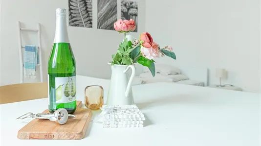 Apartments in Vienna Josefstadt - photo 7