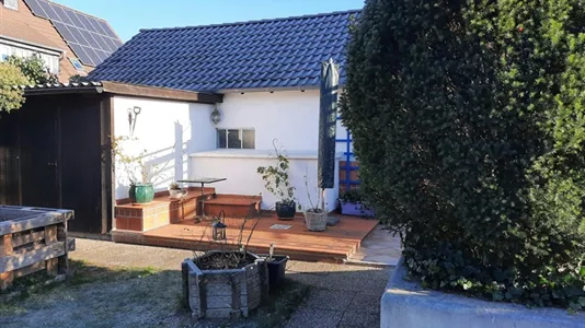 Rooms in Darmstadt-Dieburg - photo 4