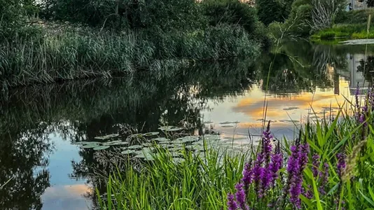 Apartments in Vantaa - photo 7